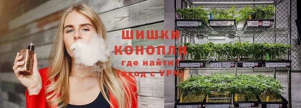 молекула духа Волосово