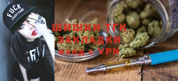 PSILOCYBIN Богданович