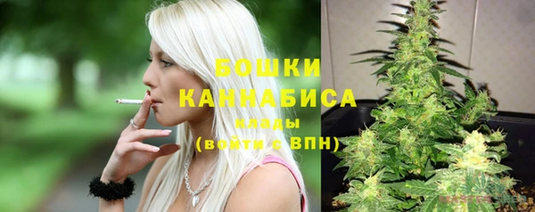 молекула духа Волосово
