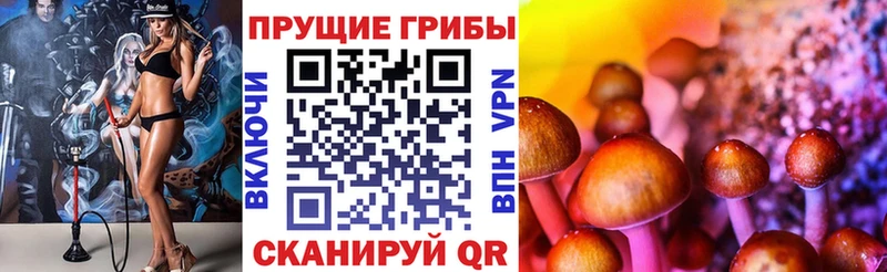 магазин продажи наркотиков  Старица  Псилоцибиновые грибы GOLDEN TEACHER 